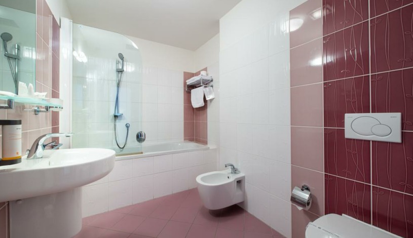 Hotel Mlýnská Uherské Hradiště